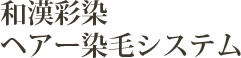 和漢彩染　ヘアー染毛システム