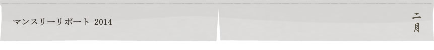 マンスリーリポート