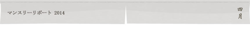 マンスリーリポート