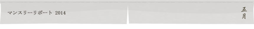 マンスリーリポート