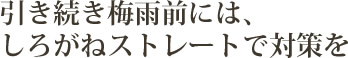 引き続き梅雨前には、しろがねストレートで対策を