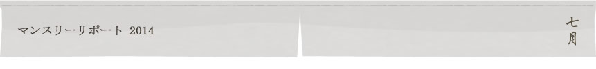 マンスリーリポート