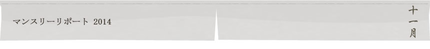 マンスリーリポート