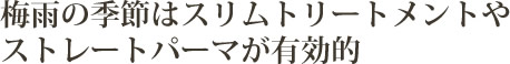 梅雨の季節はスリムトリートメントやストレートパーマが有効的