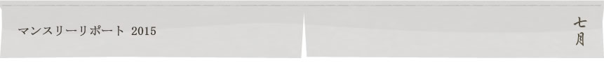 マンスリーリポート