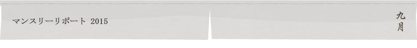 マンスリーリポート