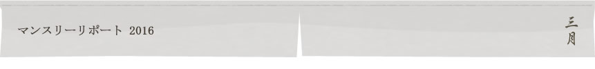 マンスリーリポート