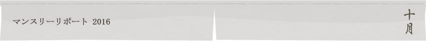 マンスリーリポート