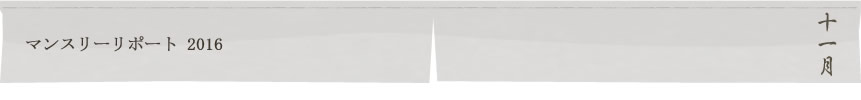 マンスリーリポート