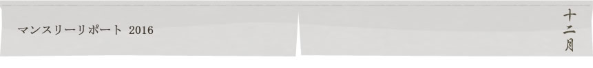 マンスリーリポート