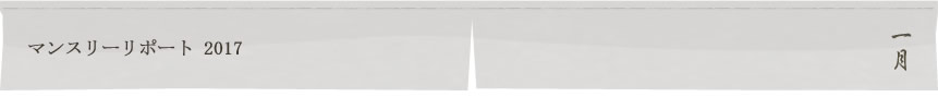 マンスリーリポート