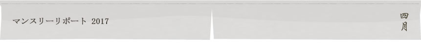 マンスリーリポート