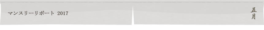 マンスリーリポート